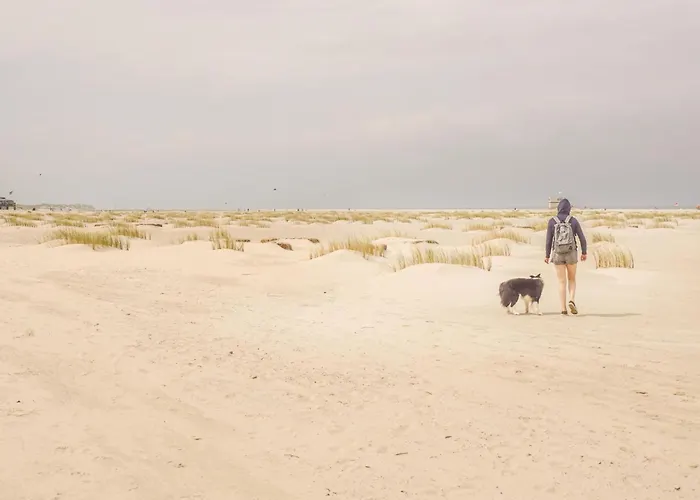 En Water 度假居 海边的艾格蒙特